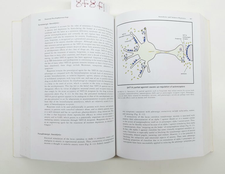 Stephen M. Stahl Essential Psychopharmacology Cambridge 2° edizione 2002