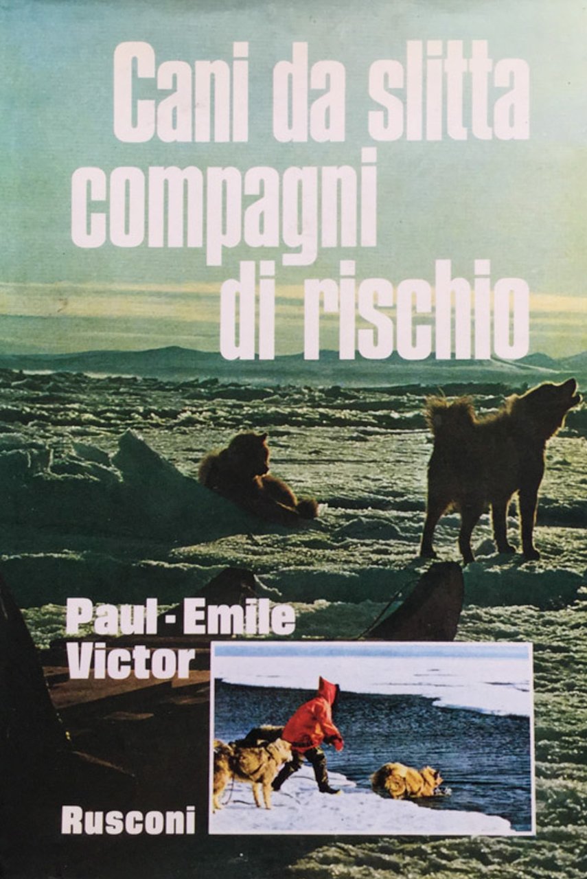 Cani da slitta compagni di rischio