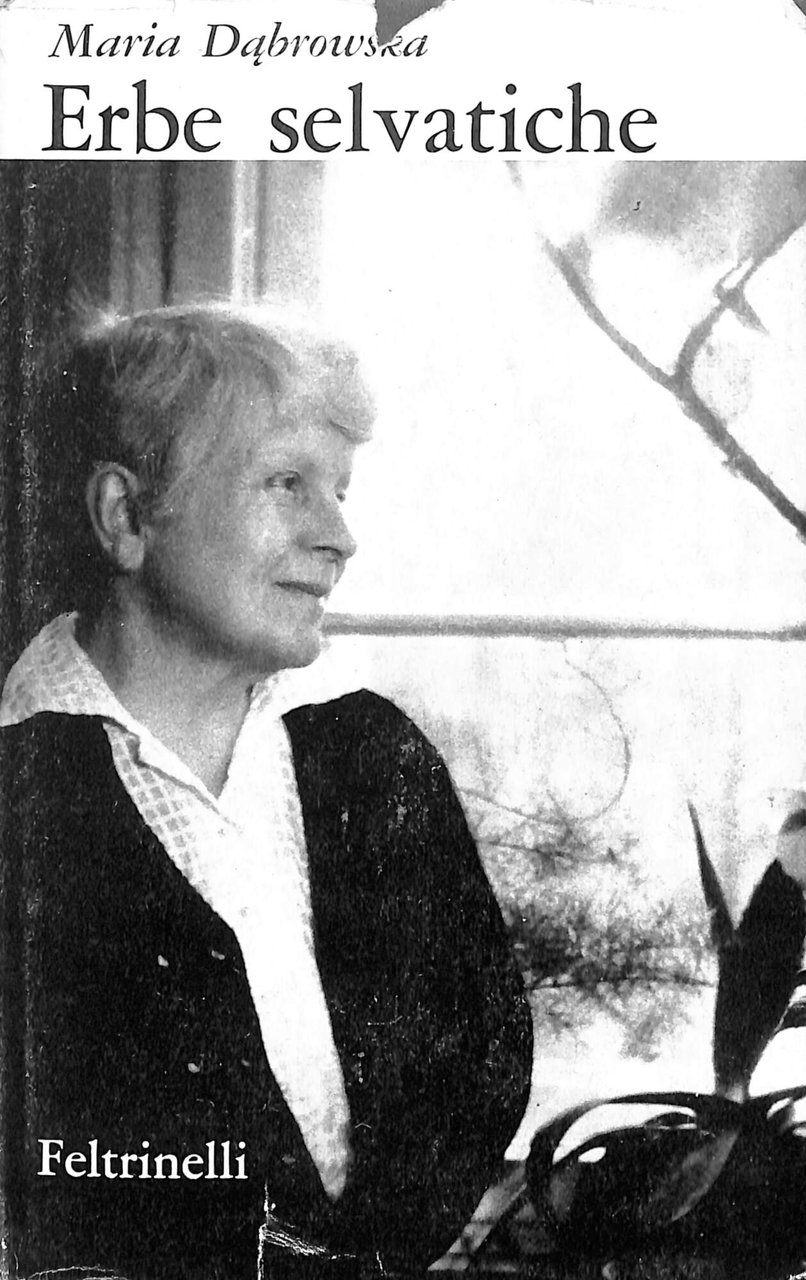 Erbe selvatiche : gente di là