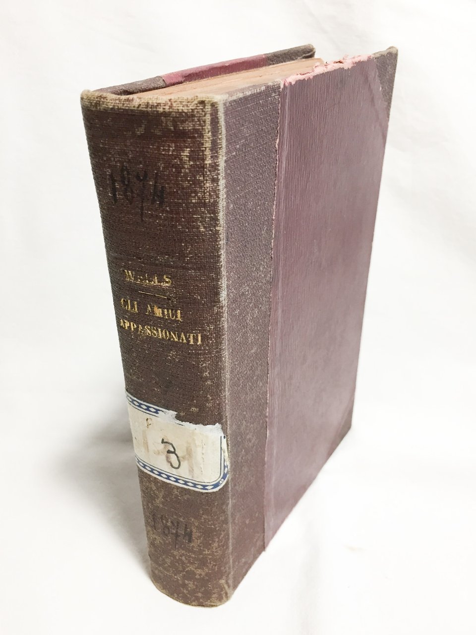 Gli amici appassionati | Immagine principale