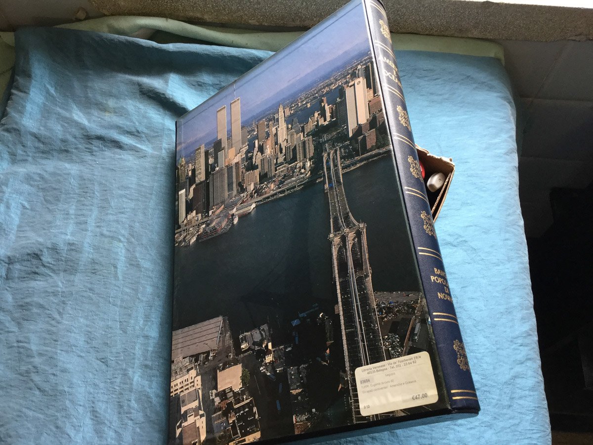 Gli spazi continentali. Americhe e Oceania.