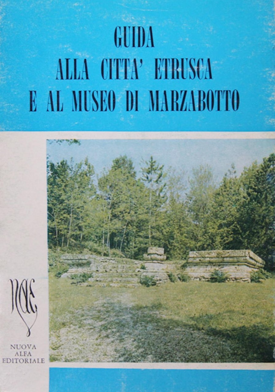 Guida alla città etrusca e al museo di Marzabotto | Immagine principale