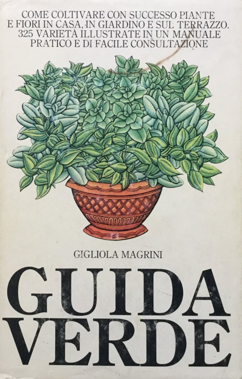 Guida verde | Immagine principale