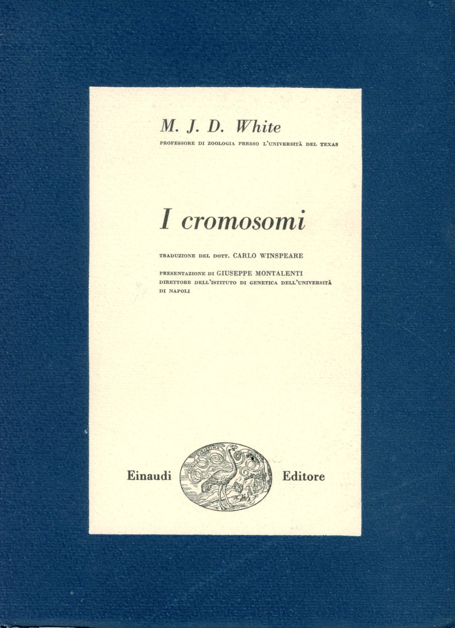 I cromosomi