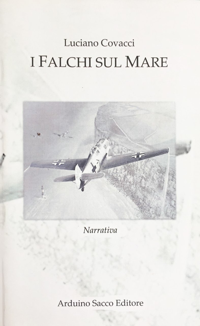 I falchi sul mare | Immagine principale