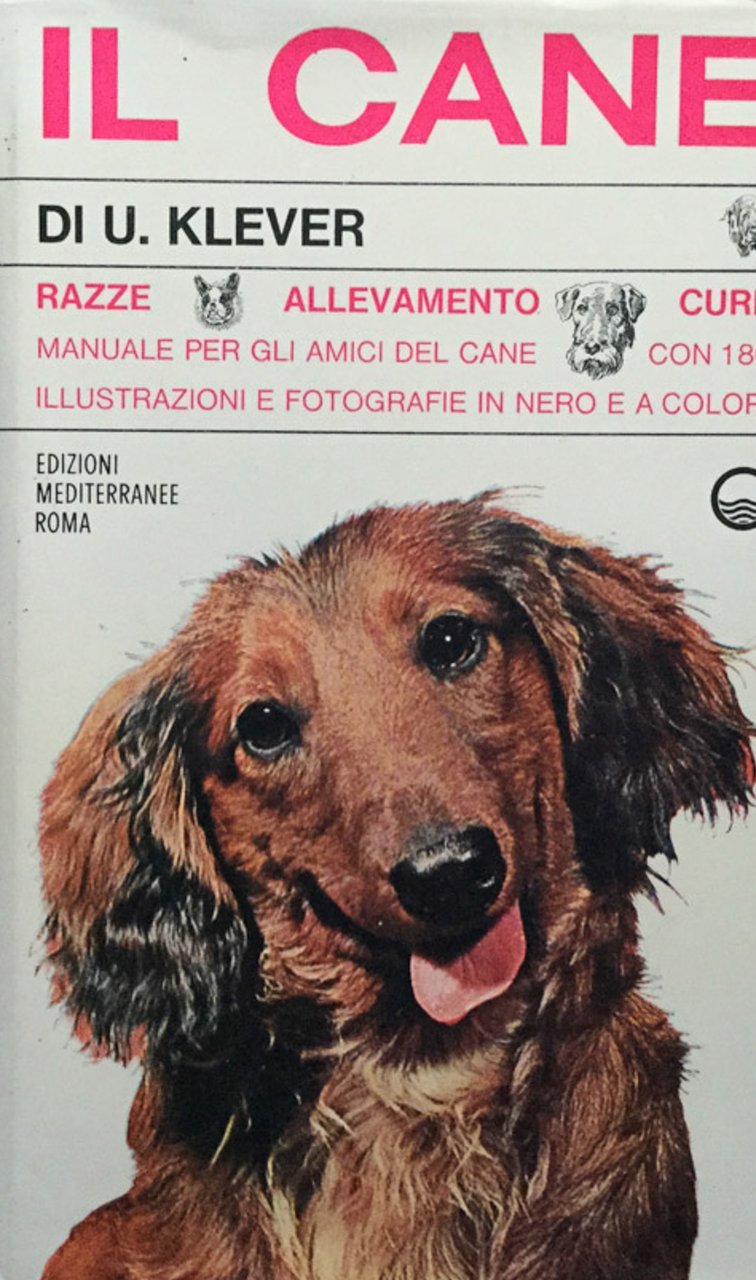 Il cane