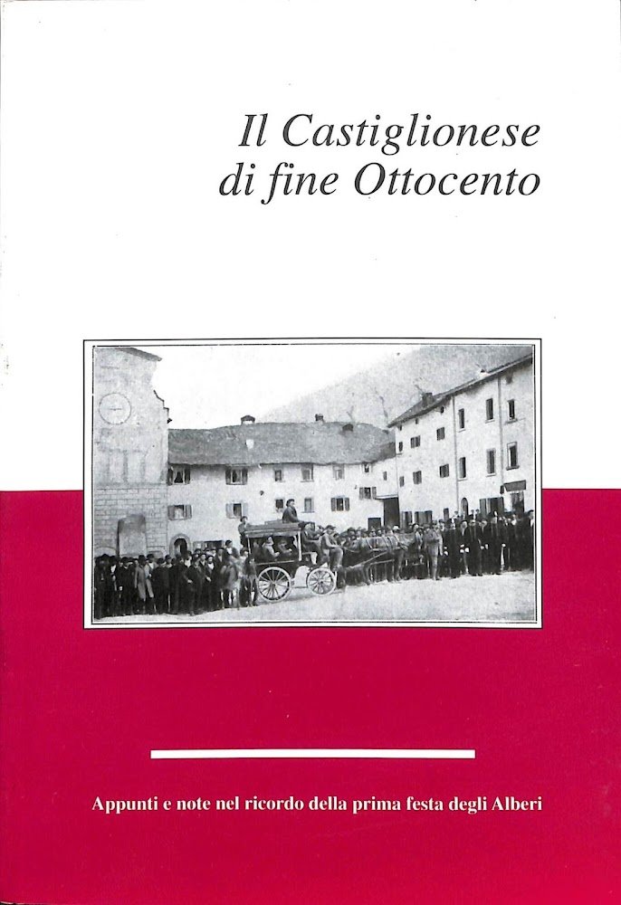 Il Castiglionese di fine Ottocento