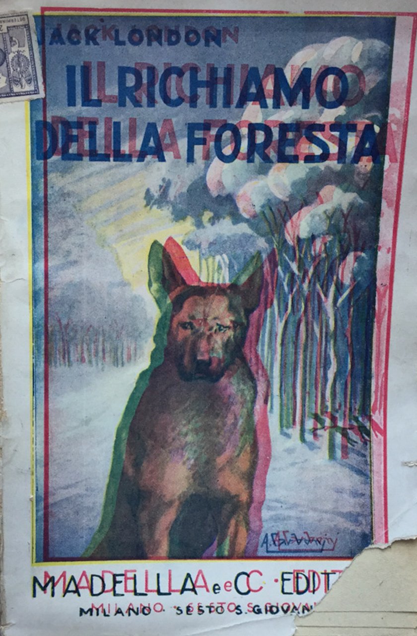 Il richiamo della foresta. Rom.