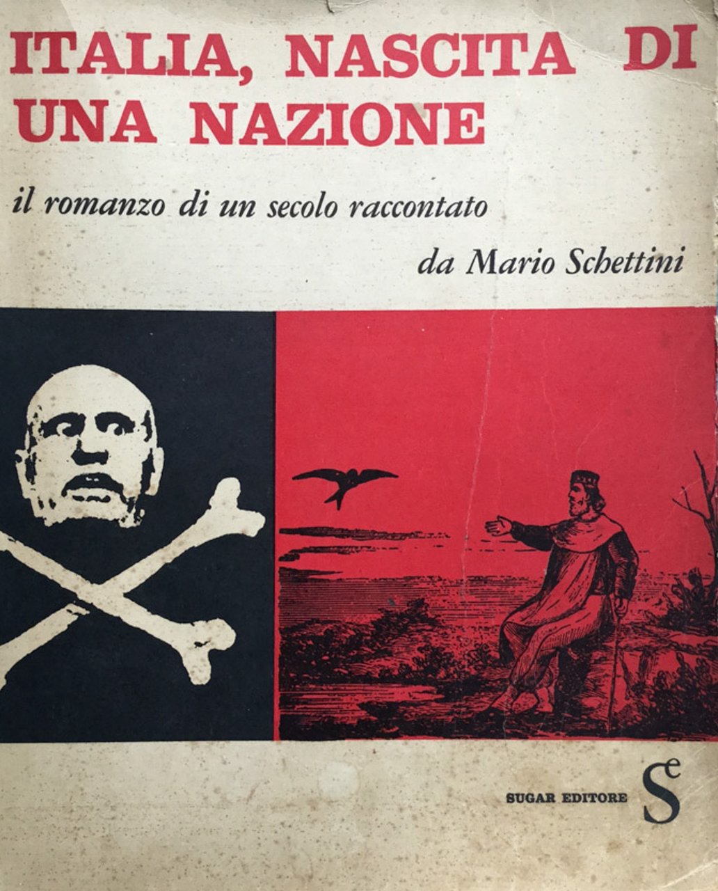 Italia, nascita di una nazione. Il romanzo di un secolo …