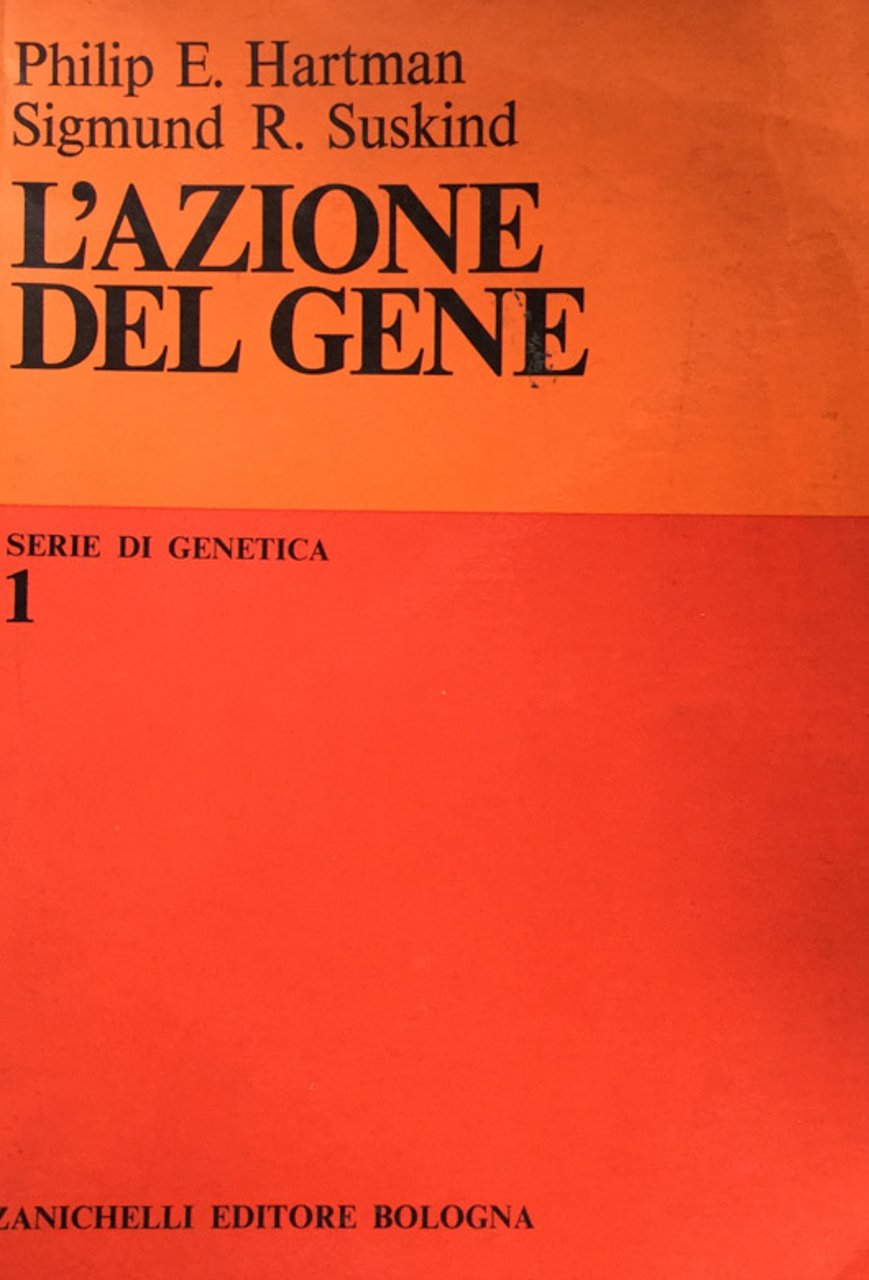 L'azione del gene
