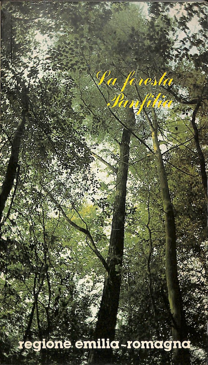 La foresta Panfilia o bosco di S. Agostino