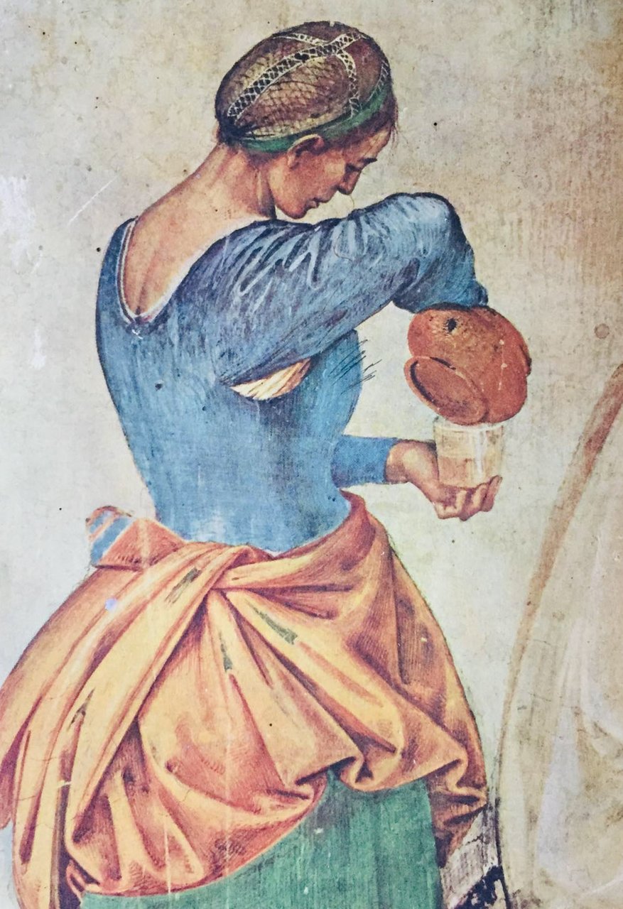 Libro Coop della casa