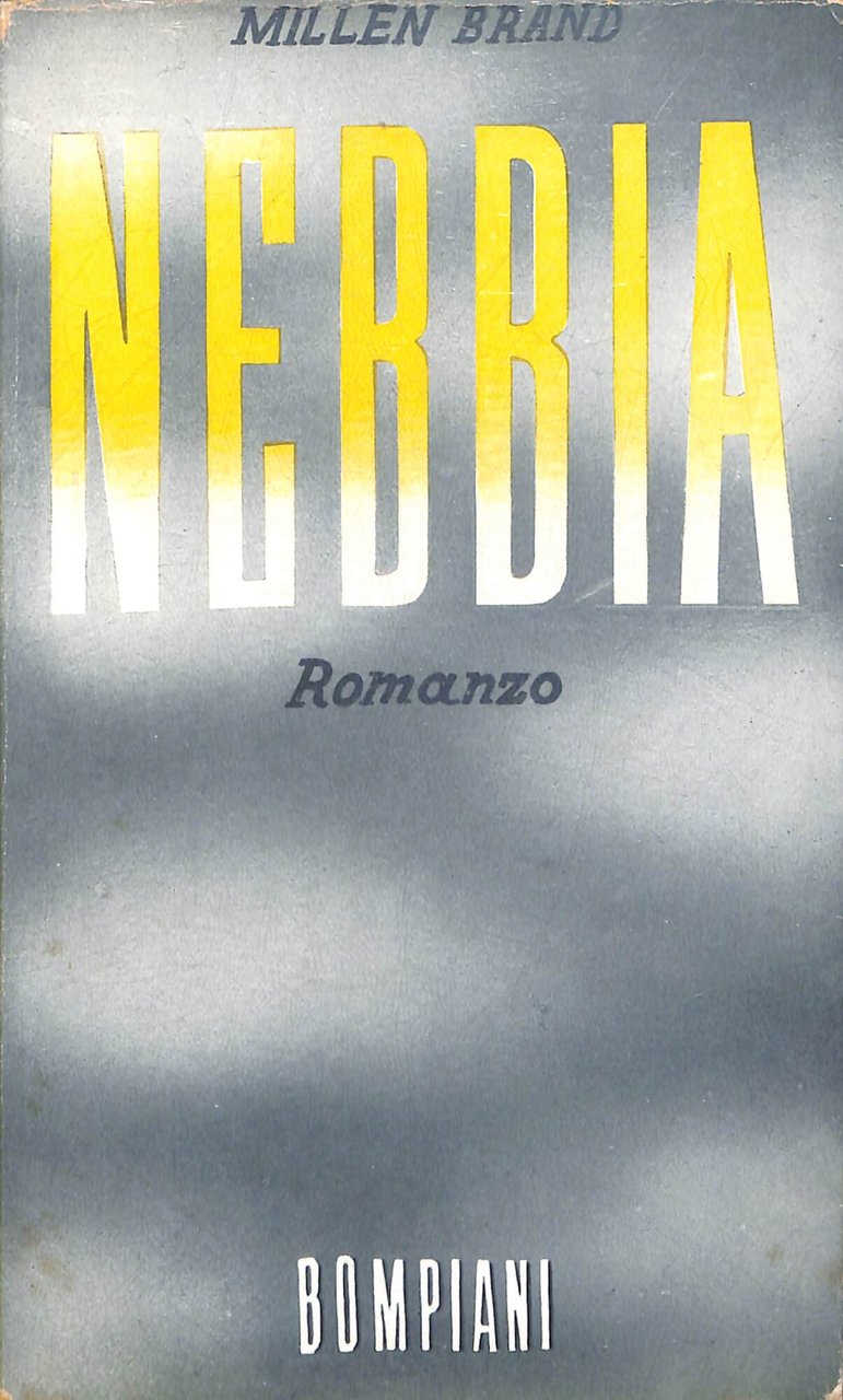 Nebbia : romanzo | Immagine principale
