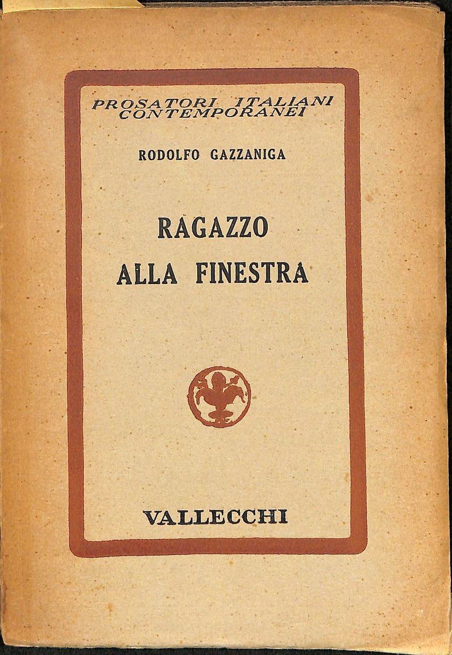 Ragazzo alla finestra