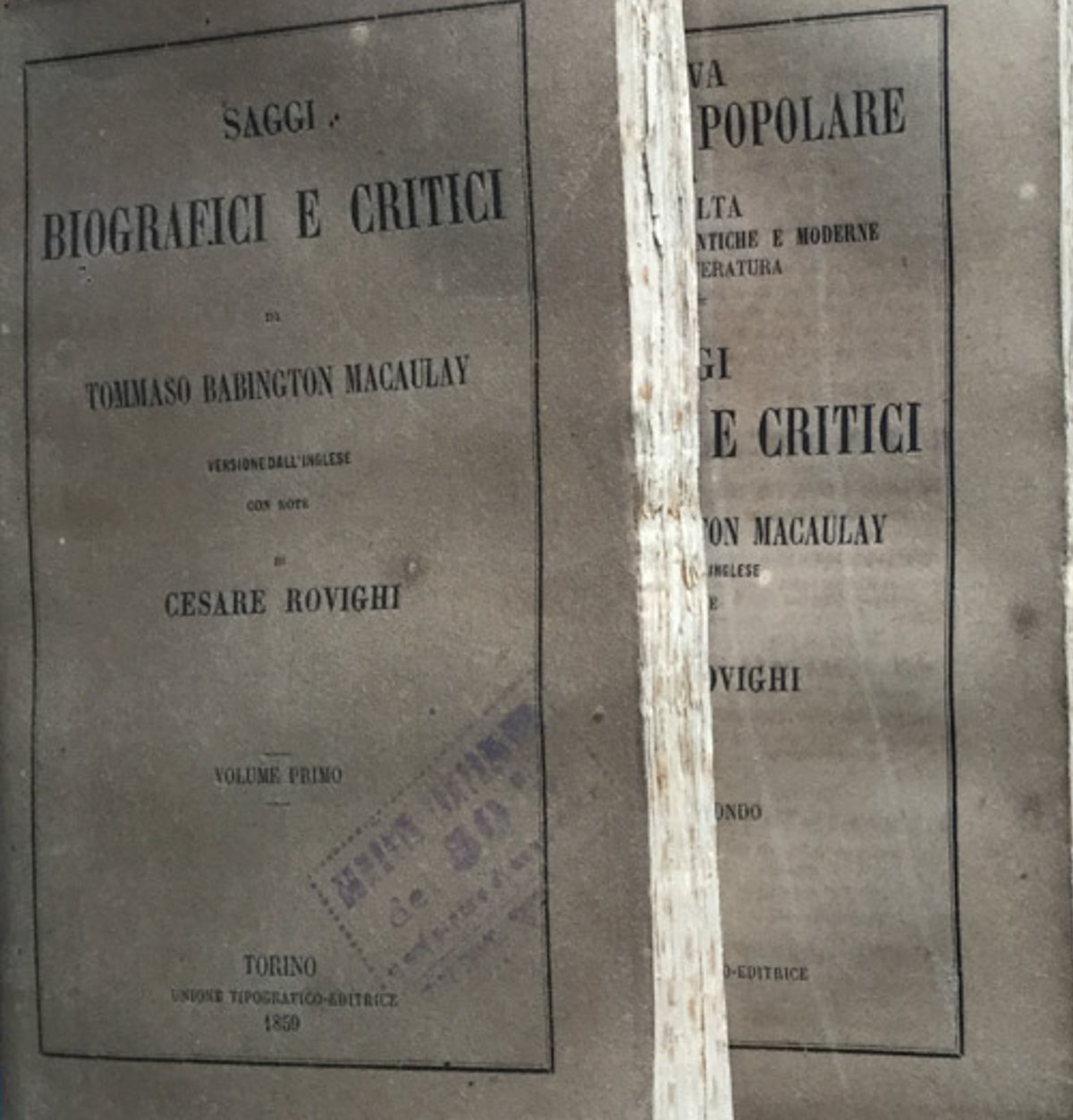 Saggi biografici e critici
