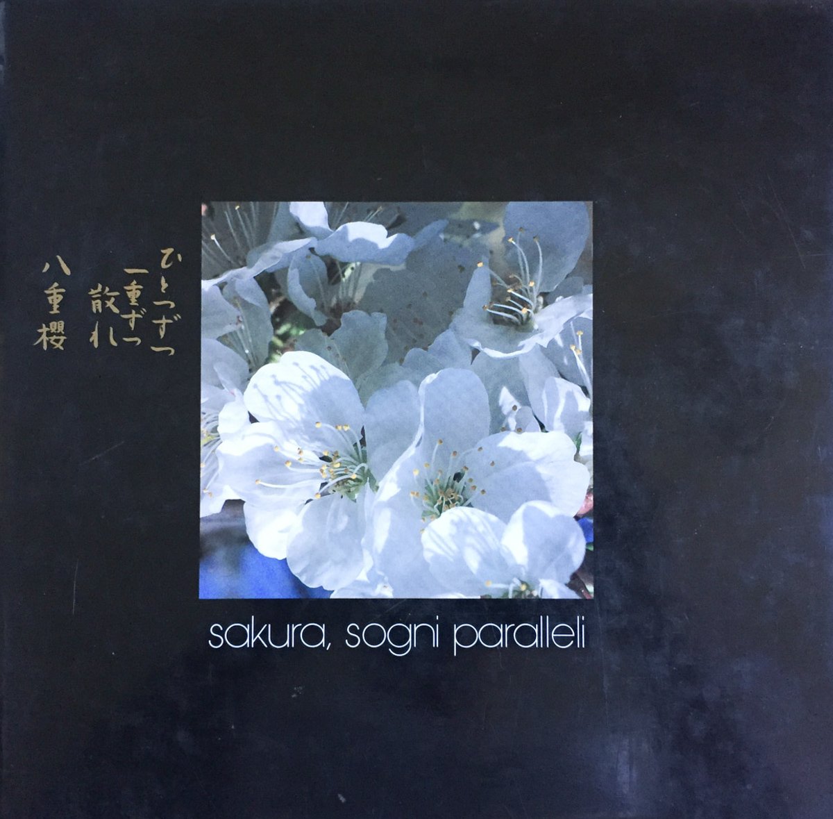 Sakura. Sogni paralleli