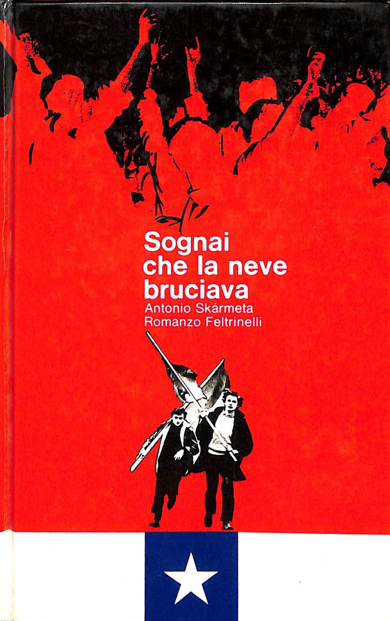 Sognai che la neve bruciava : romanzo | Immagine principale