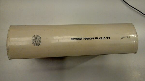 La vita di Studs Lonigan