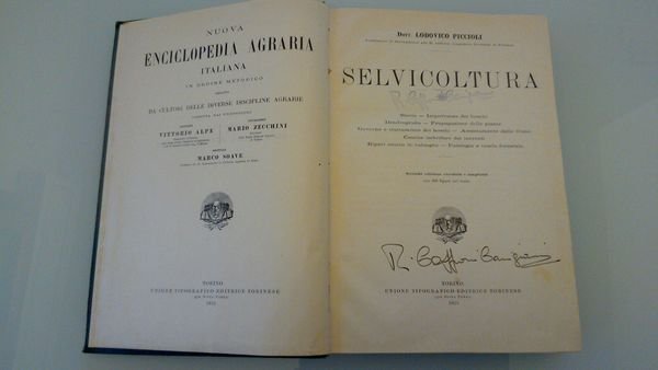 Selvicoltura - Nuova enciclopedia agraria italiana - parte quinta