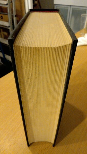 Apocalisse gialla ( i mille volti di Cornell Woolrich )