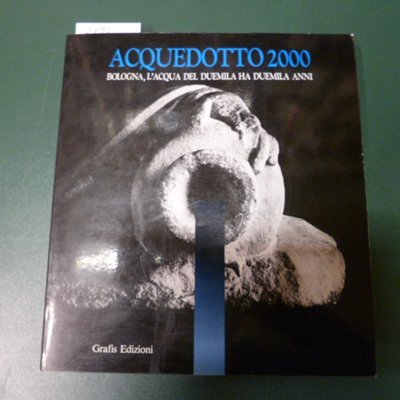 Acquedotto 2000 - Bologna, l'acqua del Duemila ha duemila anni | Immagine Gallery 2