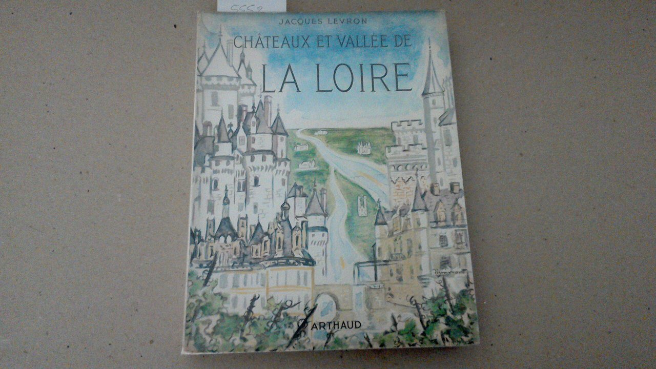 Chateaux et vallée de la Loire