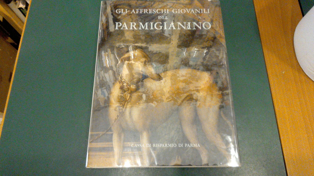 Gli affreschi giovanili del Parmigianino