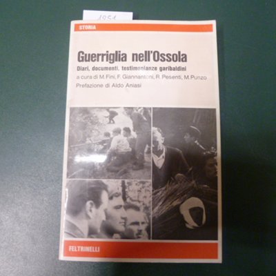 Guerriglia nell'Ossola - diari, documenti, testimonianze garibaldini