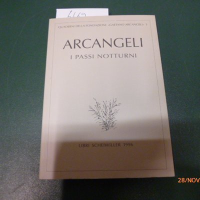 I passi notturni | Immagine principale