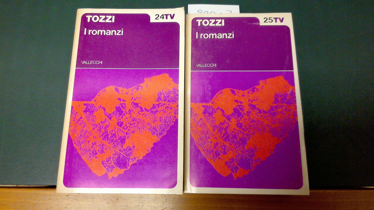 I romanzi