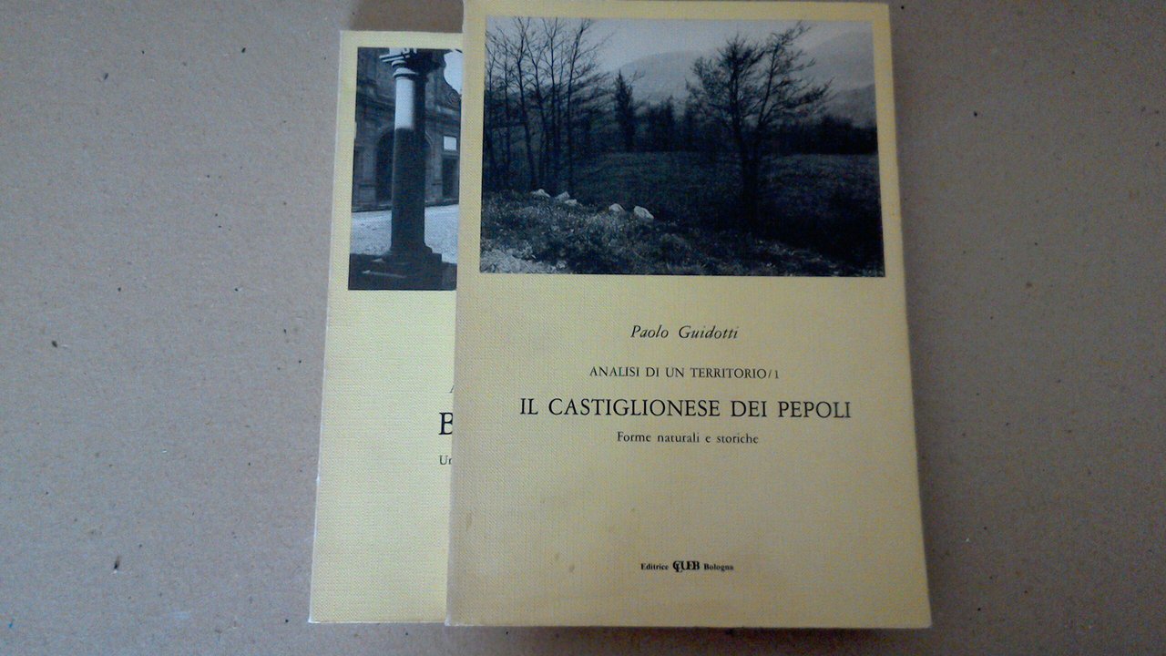 Il Castiglionese dei Pepoli - Boccadirio ( 2 volumi )