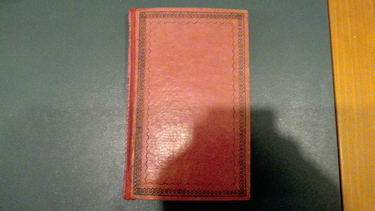 Il forestiere in Ravenna | Immagine principale