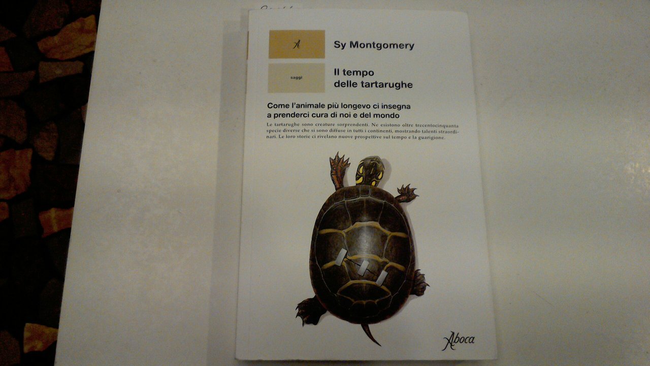 Il tempo delle tartarughe - come l'animale più longevo ci …