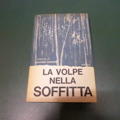 La volpe nella soffitta