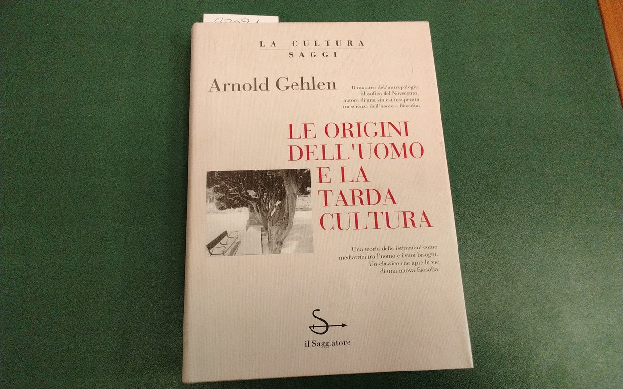 Le origini dell'uomo e la tarda cultura | Immagine principale