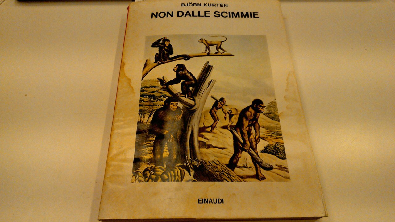 Non dalle scimmie