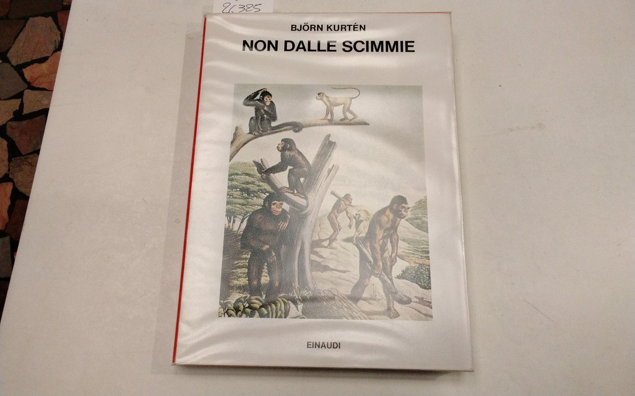 Non dalle scimmie | Immagine principale