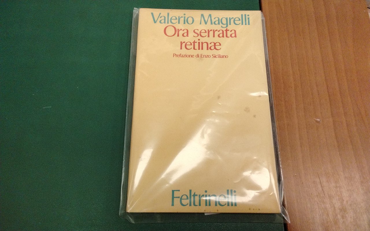 Ora serrata retinae | Immagine principale