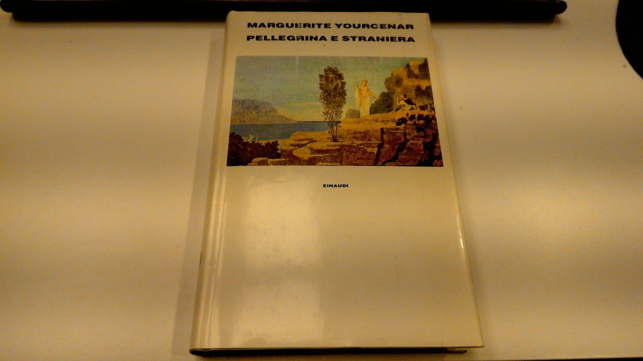 Pellegrina e straniera