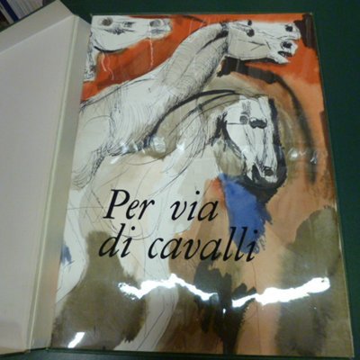 Per via di cavalli