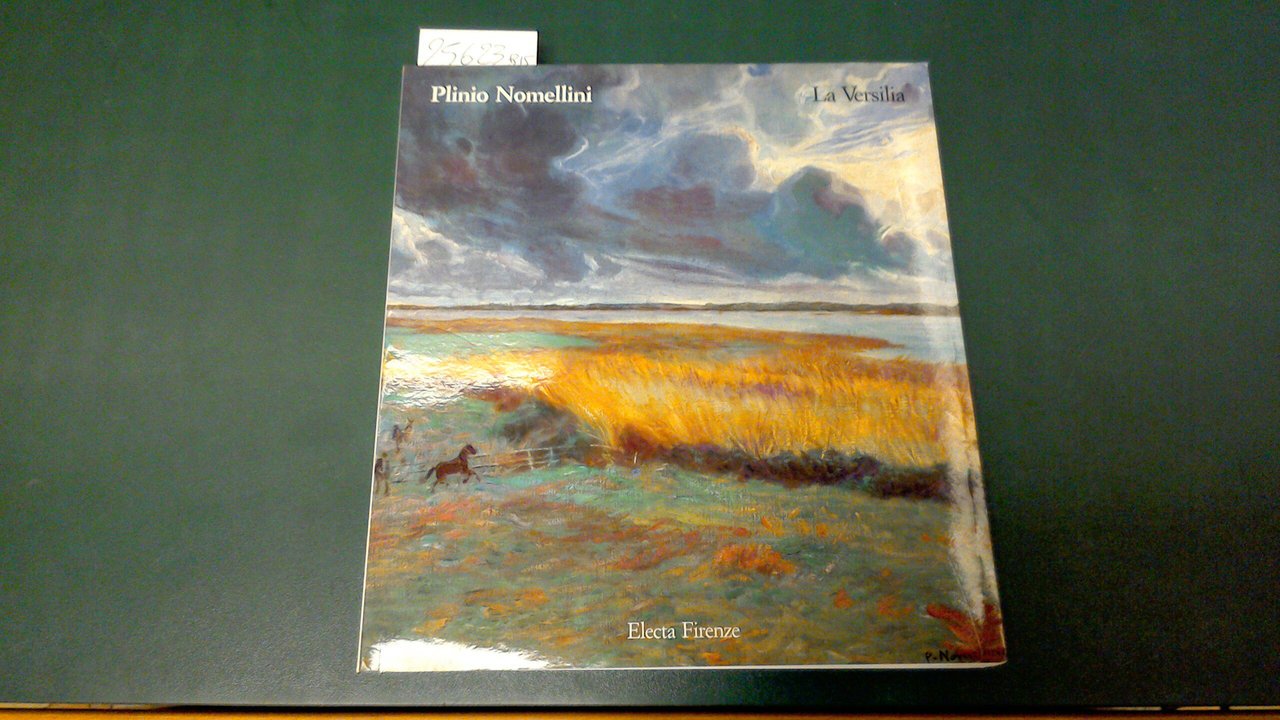 Plinio Nomellini - la Versilia