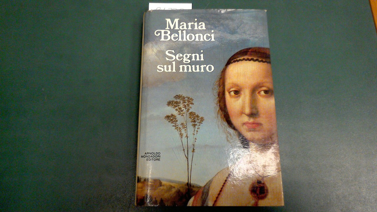 Segni sul muro