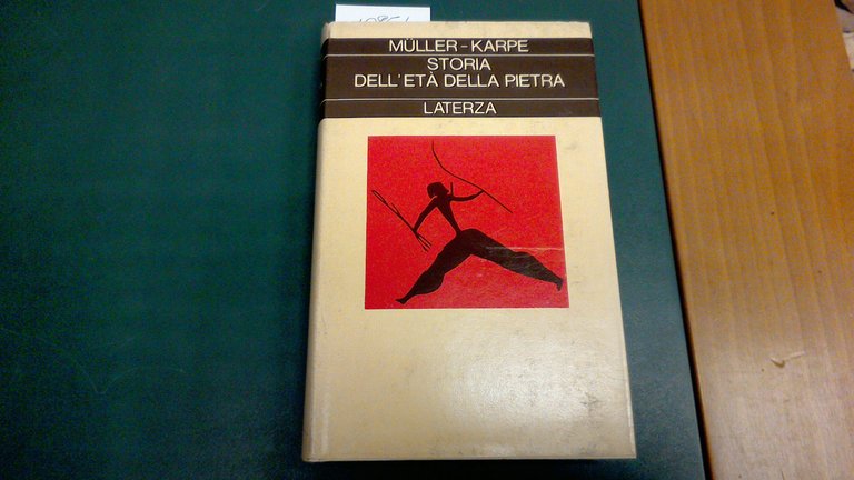 Storia dell'età della pietra