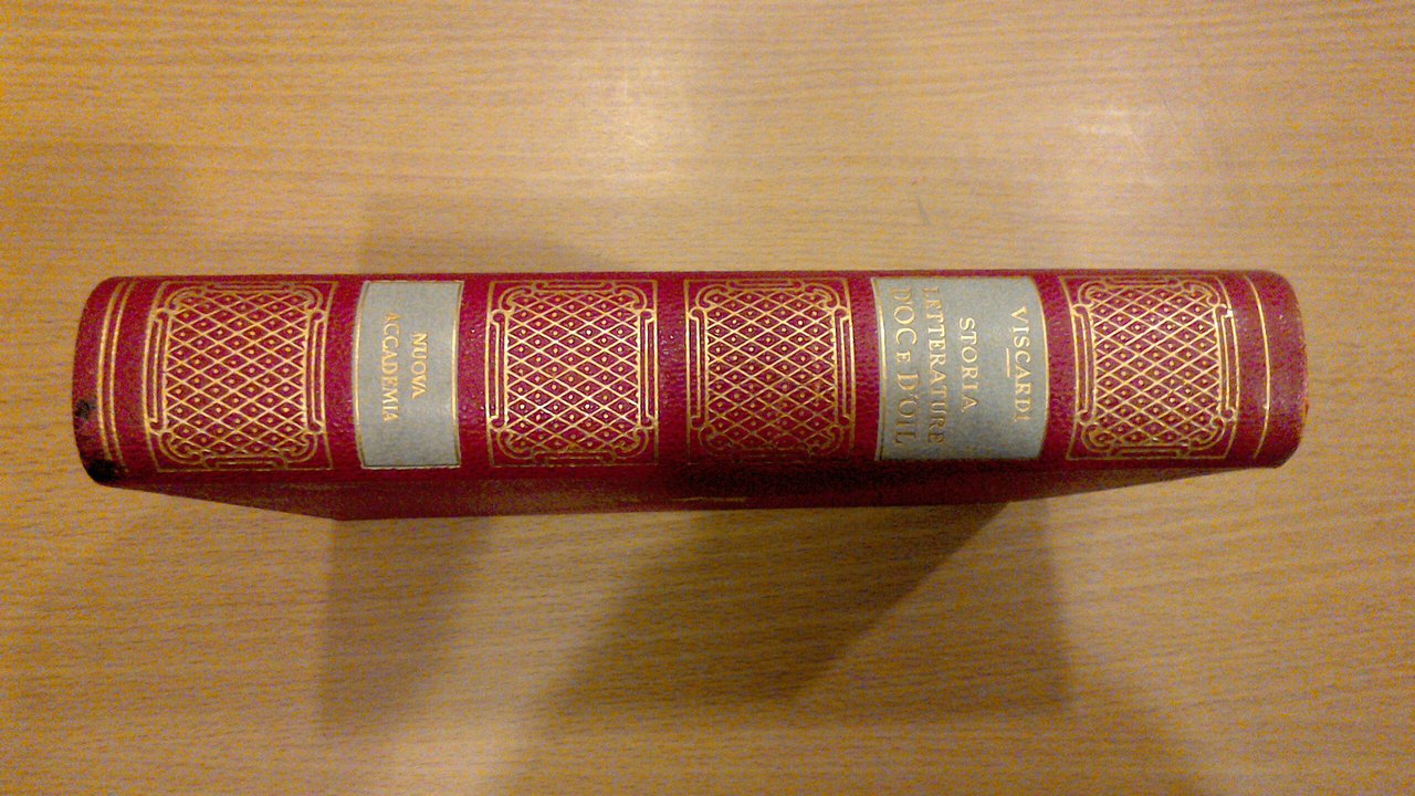 Storia delle letterature d'Oc e d'Oil