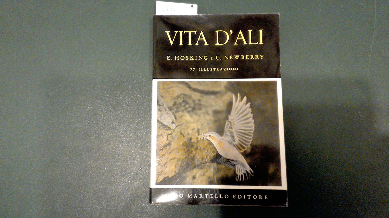 Vita d'ali