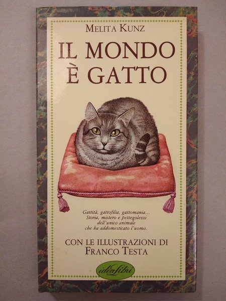 IL MONDO E GATTO