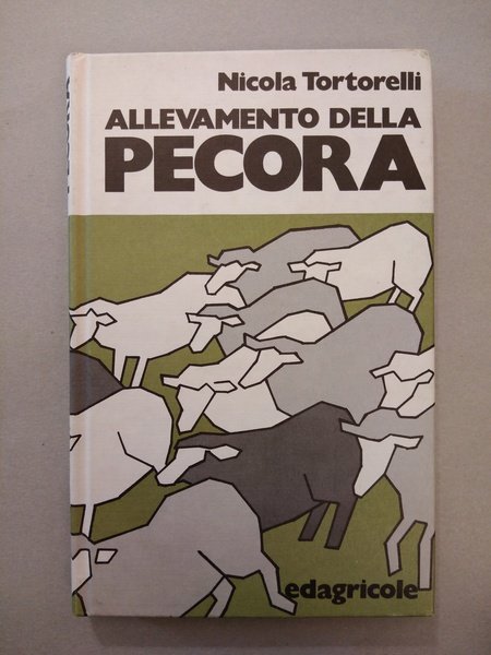 ALLEVAMENTO DELLA PECORA