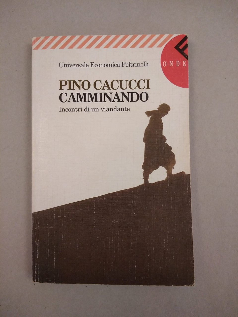 CAMMINANDO. INCONTRI DI UN VIANDANTE