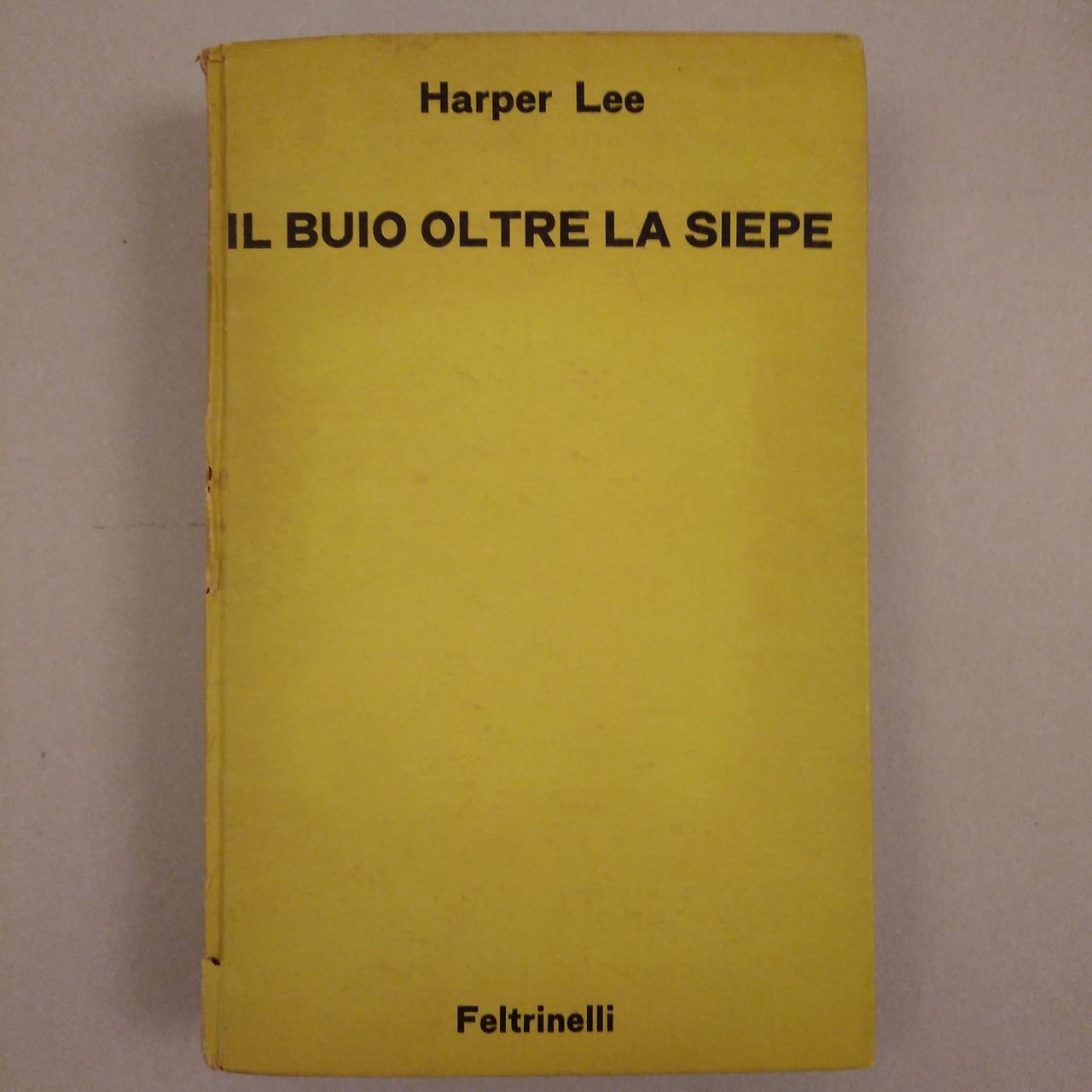 IL BUOIO OLTRE LA SIEPE