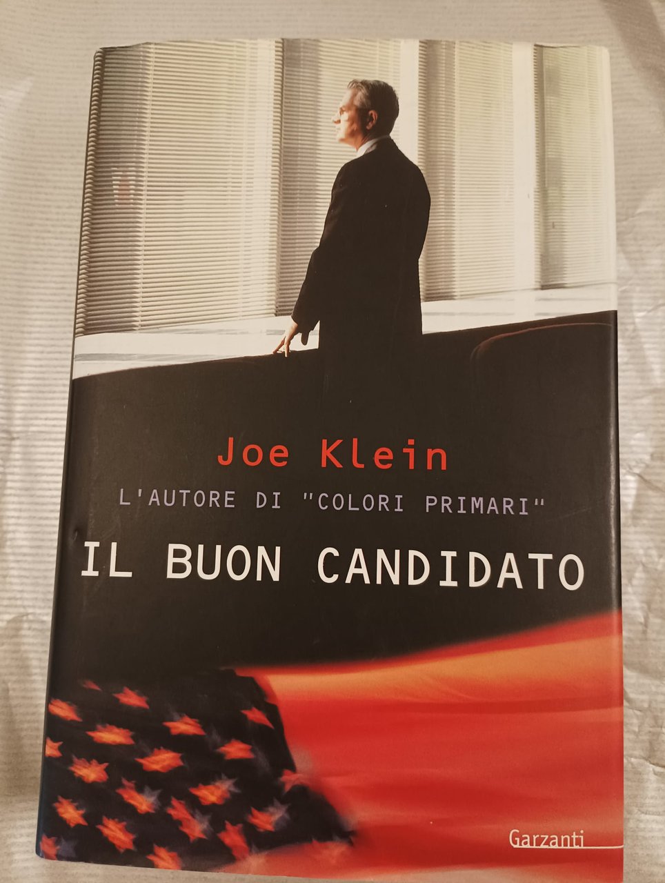 IL BUON CANDIDATO